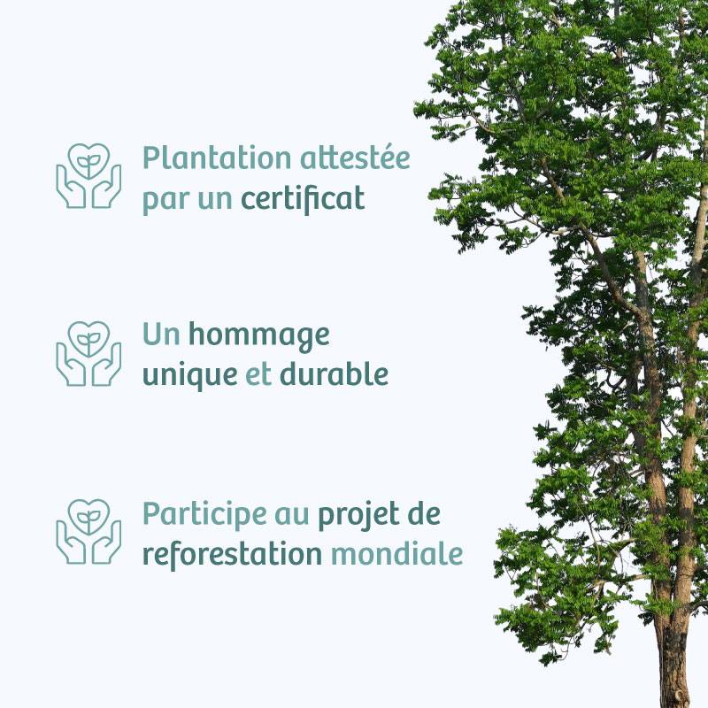 Planter un arbre en hommage à Mme Andrée JULLION Née DEMARCHI